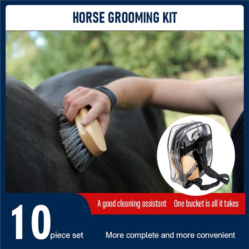 【SPECIAL】Equestrian For Horse  - đánh giá và giá Grooming Kit Horse