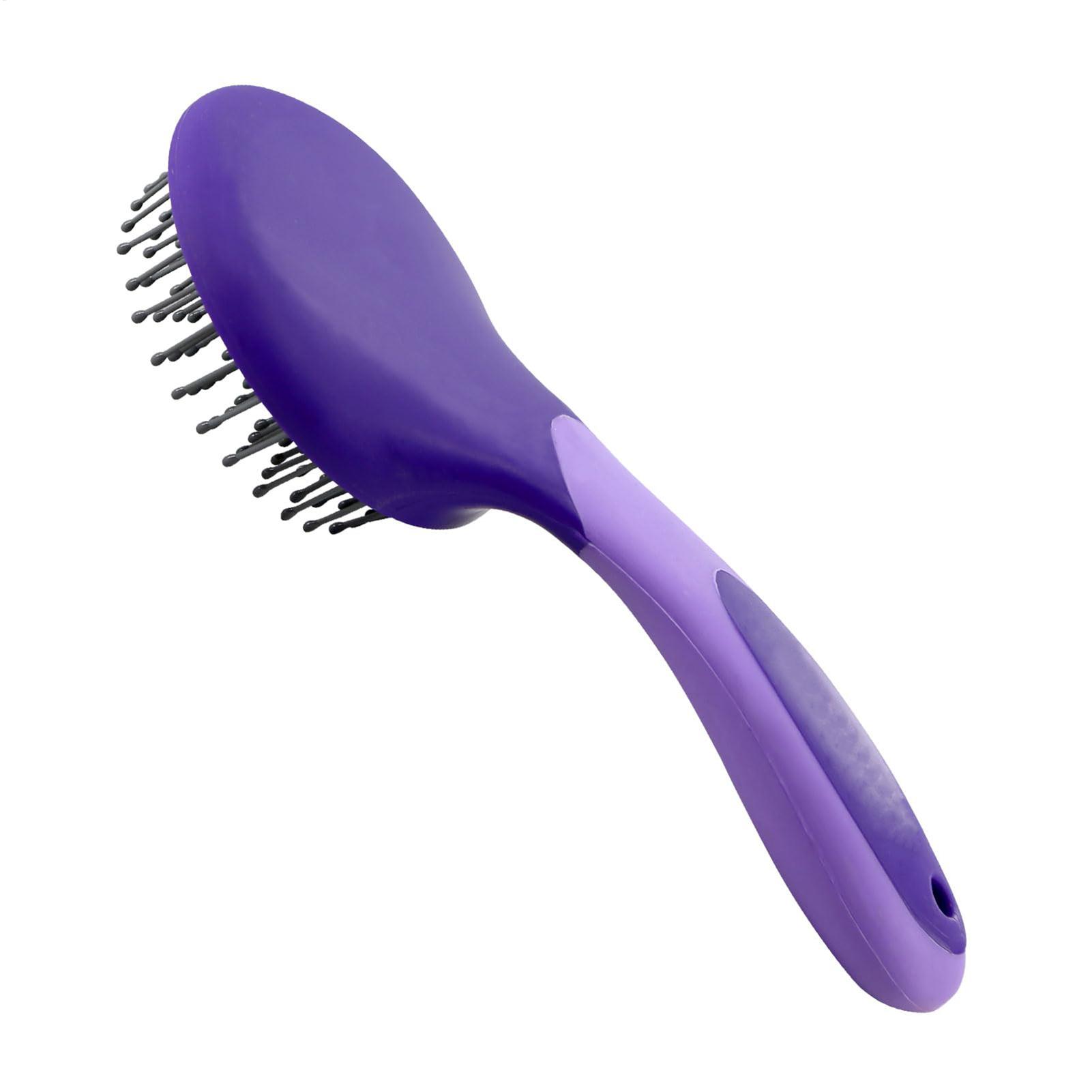 Horse Brushes for Grooming Pro - đánh giá và giá Grooming Kit Horse