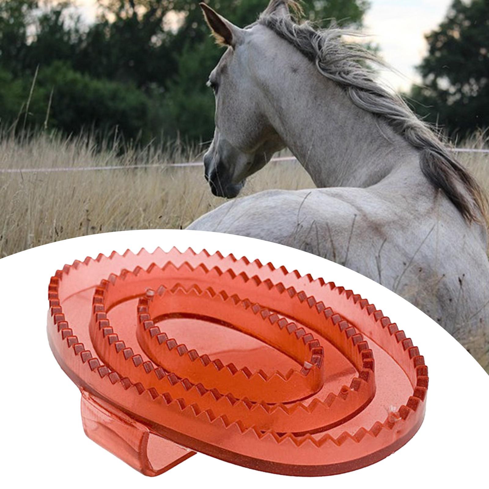 Equine Grooming Massage Curry  - đánh giá và giá Grooming Kit Horse