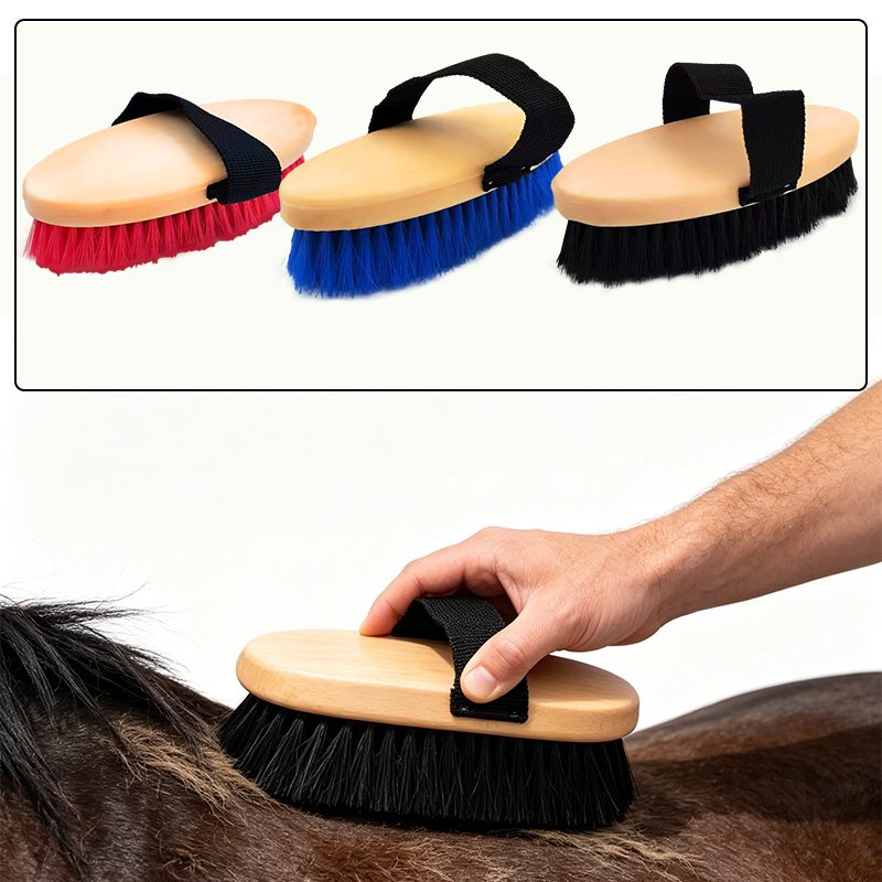 Elliptical Horse Grooming Curr - đánh giá và giá Grooming Kit Horse
