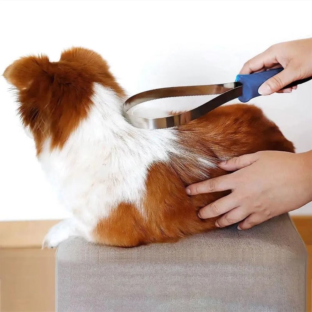 1Pcs New Nonslip Horse Groomin - đánh giá và giá Grooming Kit Horse